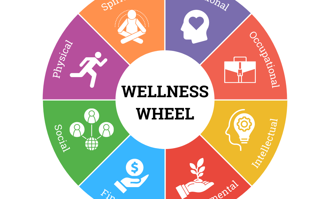 Theory Wellness, Love Wellness, Wellness Arena, MCT Wellness